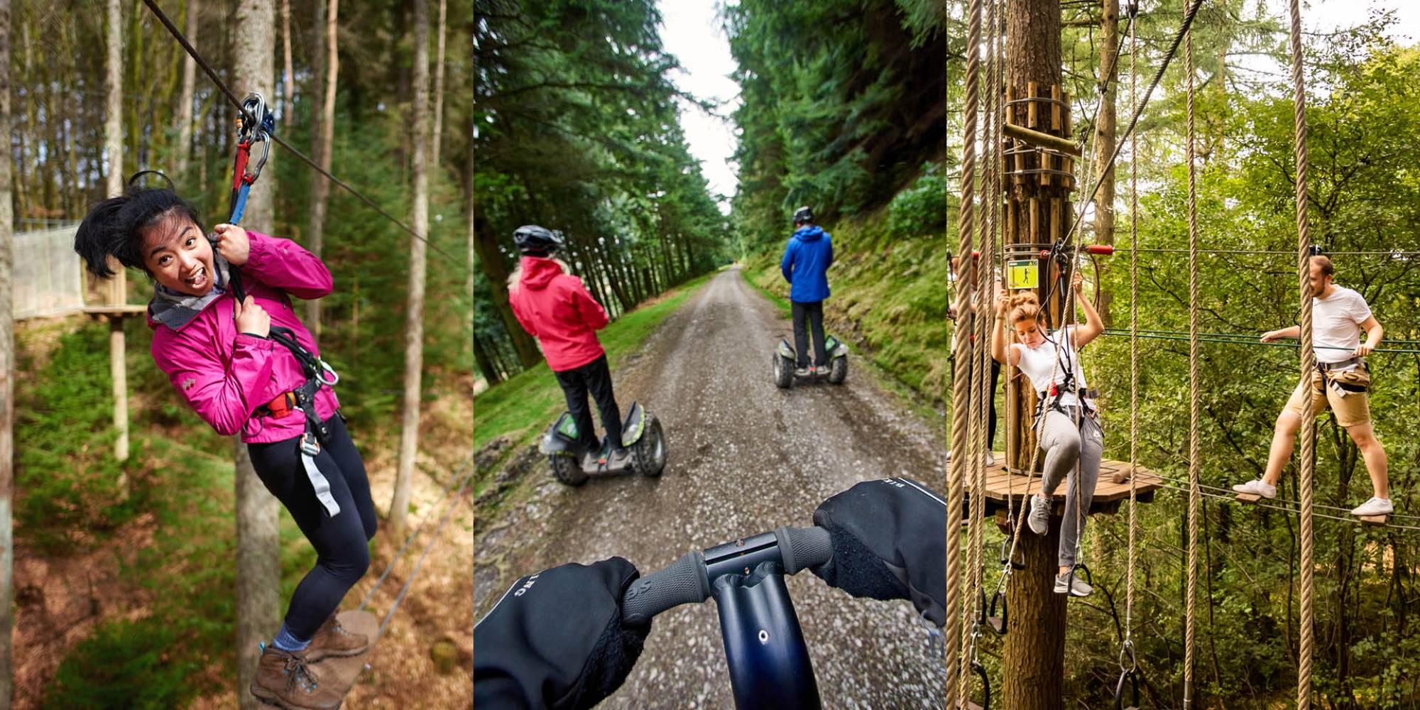 go-ape-forestry-england